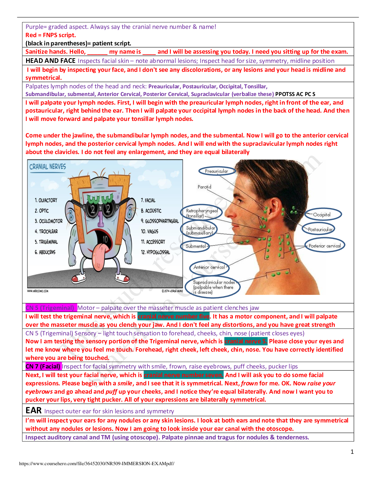 Preview image for NR509 IMMERSION EXAM